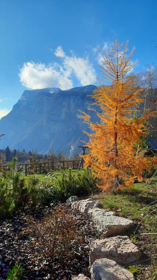 Il Giardino Di Anna - Appartamento 1 Fai della Paganella Εξωτερικό φωτογραφία